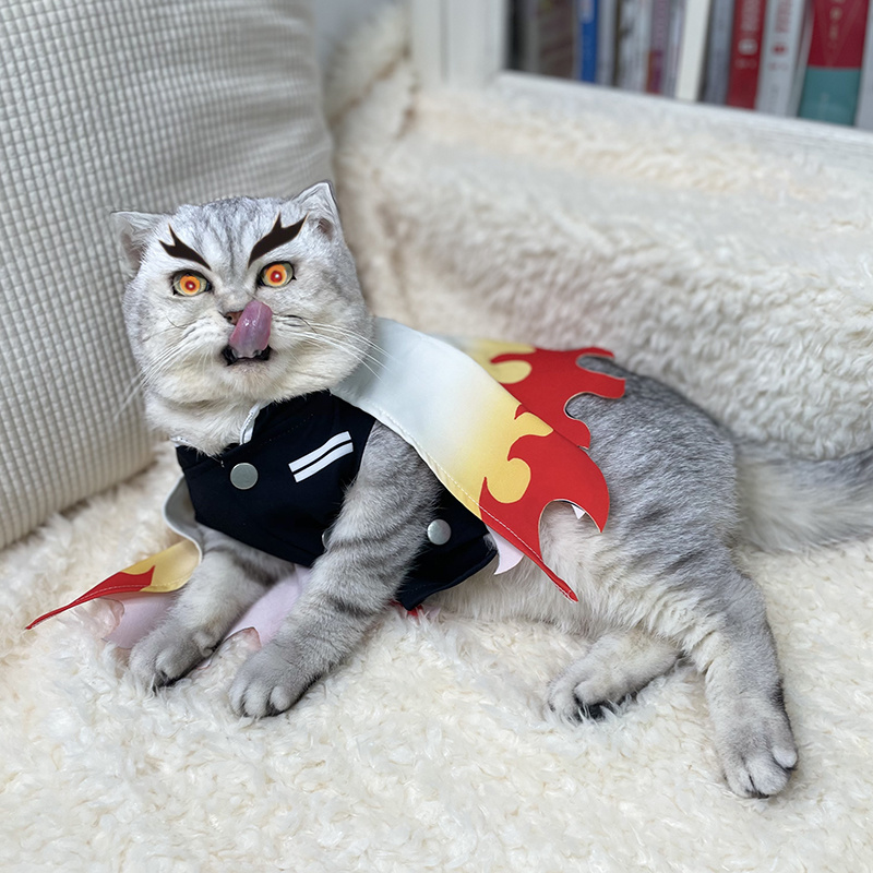 شيطان القاتل الحيوانات الأليفة - مراجعة Cosplay Flame Prop وسعره