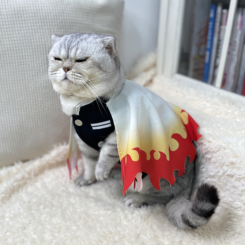 شيطان القاتل الحيوانات الأليفة - مراجعة Cosplay Flame Prop وسعره